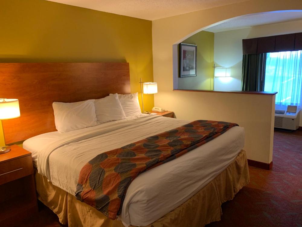King Studio Suite -  Non-SmokingÂ  interior